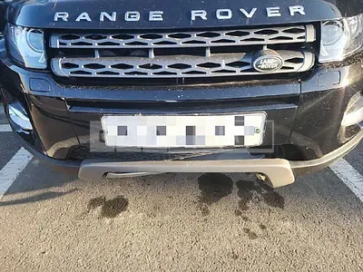 Photo 1 of 25: 2015 Land Rover Range Rover Evoque 2.2d, VIN SALVA2BE0FH019223 — Korean insurance auction