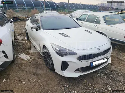 Photo 1 of 19: 2019 Kia Stinger, VIN KNAE351ABKS055109 — Korean insurance auction