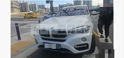 Photo 1 of 14: 2017 BMW X6 xDrive30d — Korean insurance auction