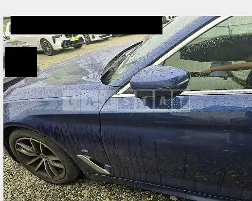 Photo 2 of 18: 2020 BMW 520i — Korean insurance auction