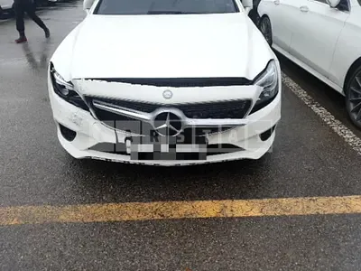 2016 Mercedes-Benz CLS250 d 4MATIC