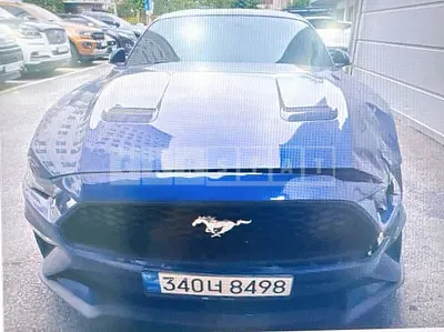 Photo 1 of 16: 2019 Ford Mustang 2.3 Coupe — Korean insurance auction