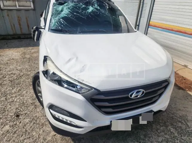 Photo 2 of 13: 2015 Hyundai Tucson TL Diesel 4WD — Korean insurance auction
