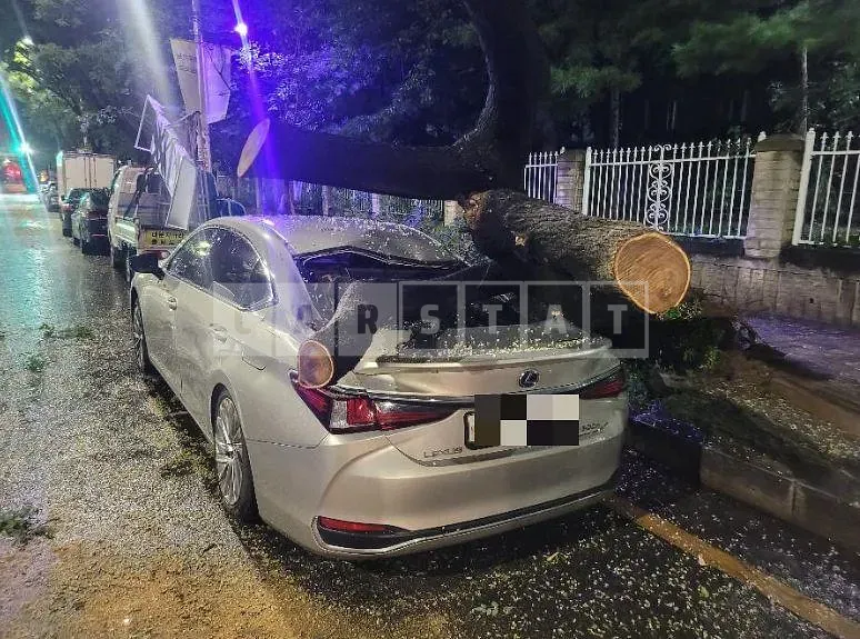 Photo 2 of 22: 2018 Lexus ES300h — Korean insurance auction