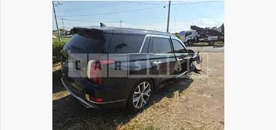 Photo 1 of 20: 2019 Hyundai Palisade 2.2 (4WD) — Korean insurance auction