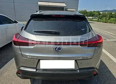 Photo 1 of 24: 2019 Lexus Ux 250h 2WD — Korean insurance auction