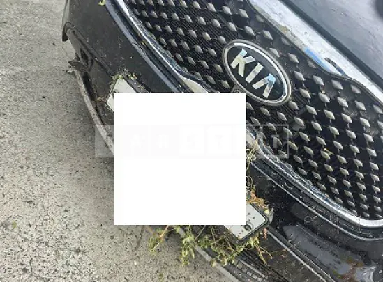 Photo 2 of 20: 2017 Kia Sorento — Korean insurance auction