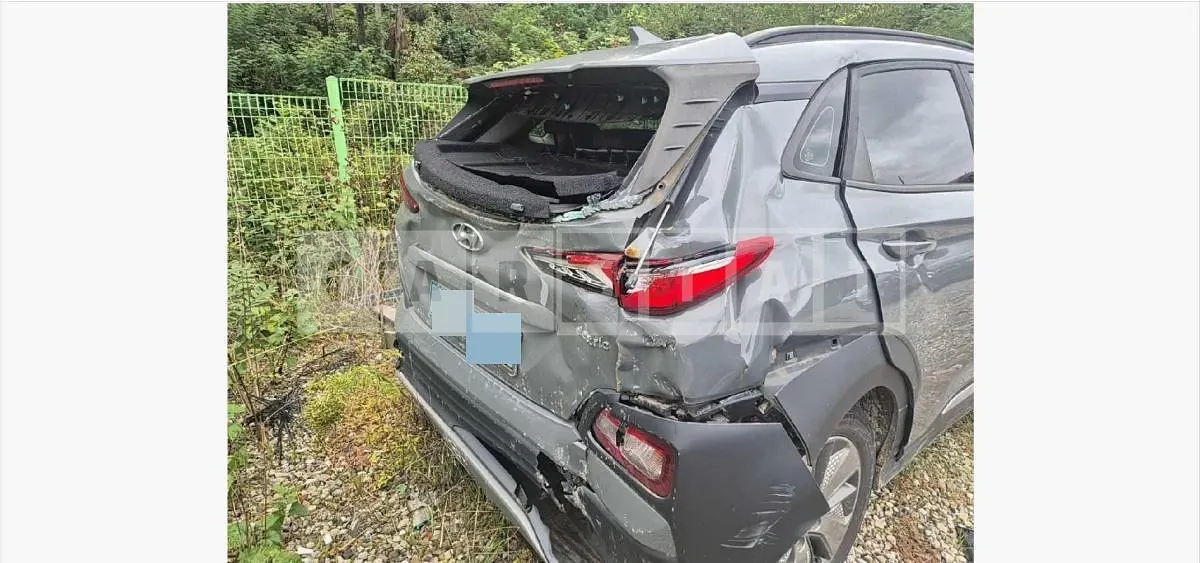 Photo 2 of 14: 2019 Hyundai Kona Electric Car — Korean insurance auction