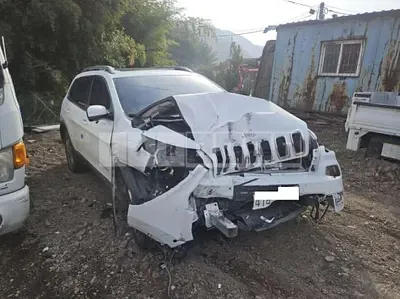 2018 Jeep Zip Cherokee 2.4