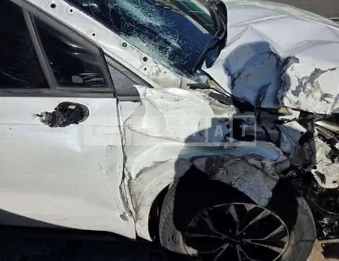Photo 2 of 62: 2022 Kia Carnivals — Korean insurance auction