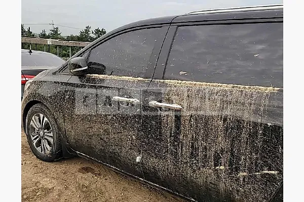 Photo 2 of 15: 2019 Kia Carnival, VIN KNAMB81ABKS567289 — Korean insurance auction