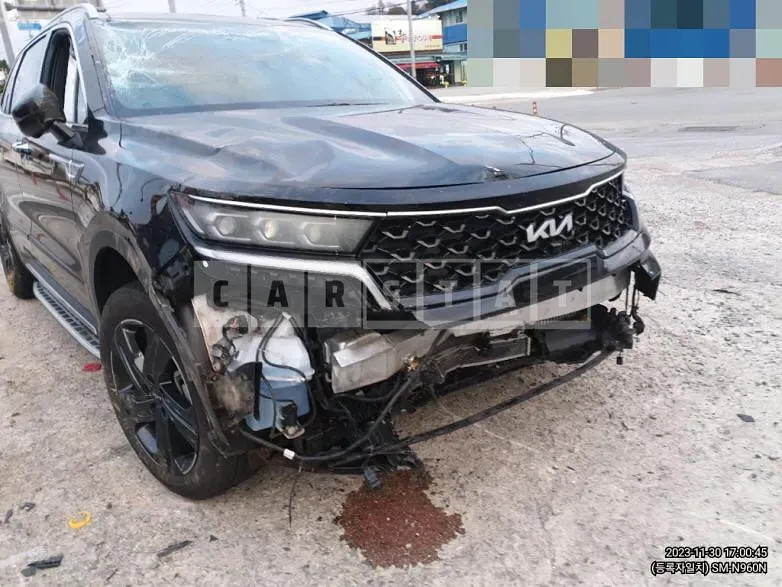 Photo 2 of 9: 2022 Kia Sorento 1.6 (Hybrid), VIN KNARM81GBNA119224 — Korean insurance auction