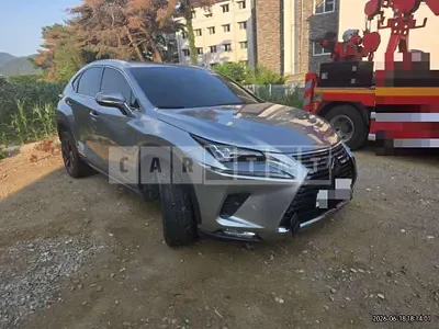 Photo 1 of 16: 2020 Lexus NX300h — Korean insurance auction