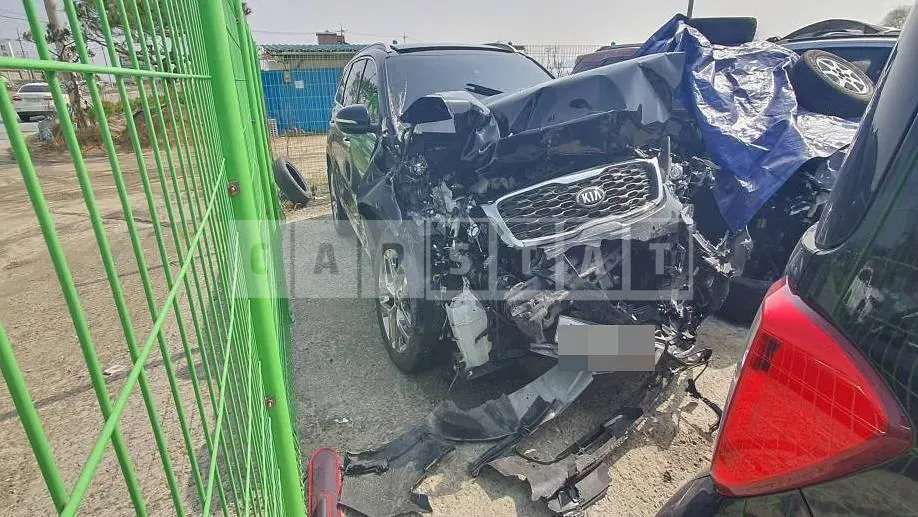 Photo 2 of 11: 2019 Kia Sorento 2.0 — Korean insurance auction
