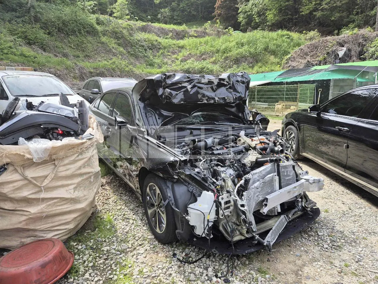 Photo 2 of 12: 2022 Kia K8 Hybrid, VIN KNAM1411BNA020698 — Korean insurance auction