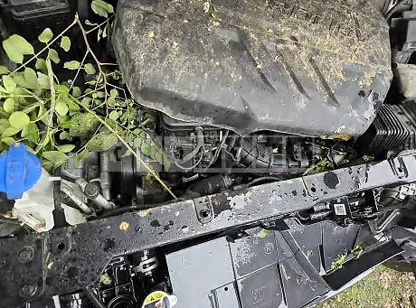 Photo 2 of 14: 2020 Hyundai Santa Fe — Korean insurance auction