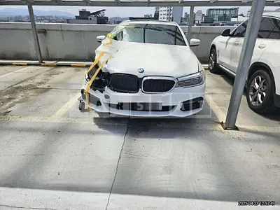 Photo 1 of 10: 2019 BMW 520d M Sport Package — Korean insurance auction