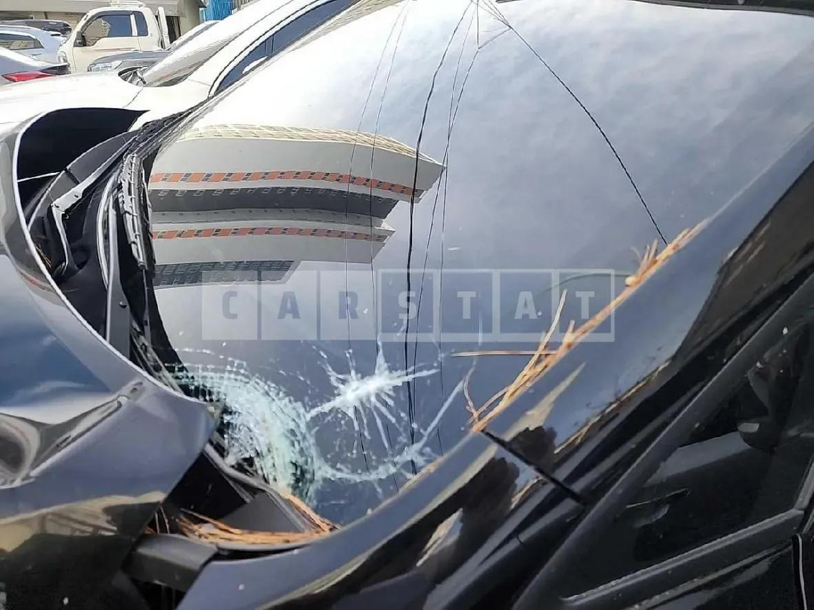 Photo 2 of 21: 2019 Kia Carnivals, VIN KNAMB81ABKS595507 — Korean insurance auction