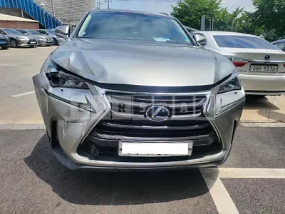 Photo 1 of 21: 2016 Lexus NX300h, VIN JTJBJRBZ2G2047211 — Korean insurance auction