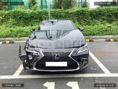 2020 lexus /lexus es 300h