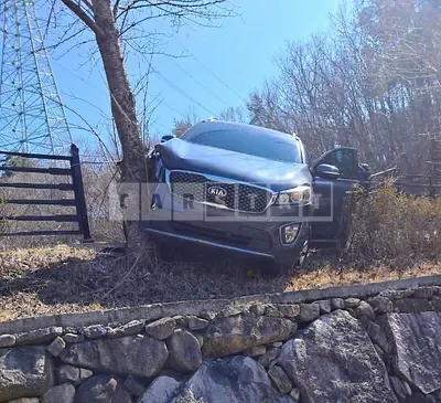Photo 1 of 20: 2015 Kia Sorento — Korean insurance auction