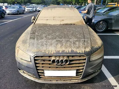 Photo 1 of 23: 2016 Audi A8 50 TDI quattro, VIN WAUZZZ4H4GN004600 — Korean insurance auction