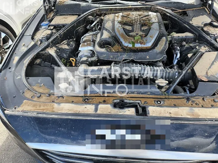 Photo 2 of 8: 2019 Genesis Acupuncture Nessis G80 — Korean insurance auction
