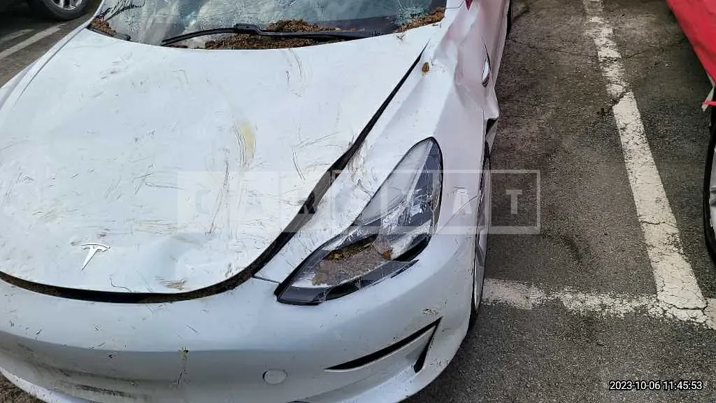 Photo 2 of 50: 2020 Tesla Model 3 Long Range, VIN 5YJ3E1EB0LF725098 — Korean insurance auction
