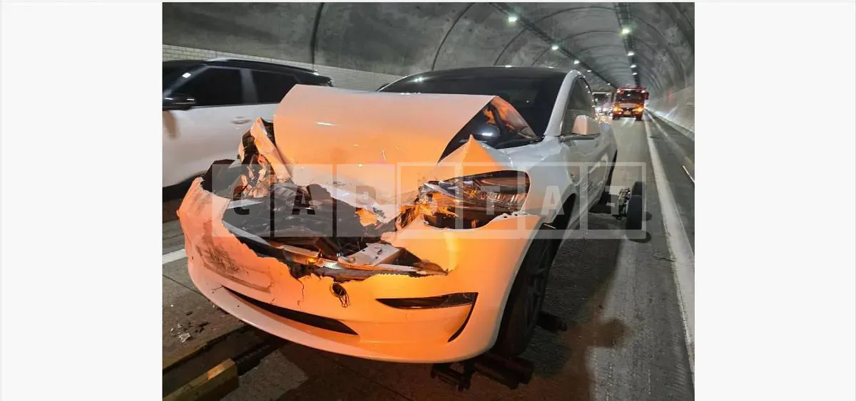 Photo 2 of 30: 2020 Tesla Model 3 Long Range — Korean insurance auction