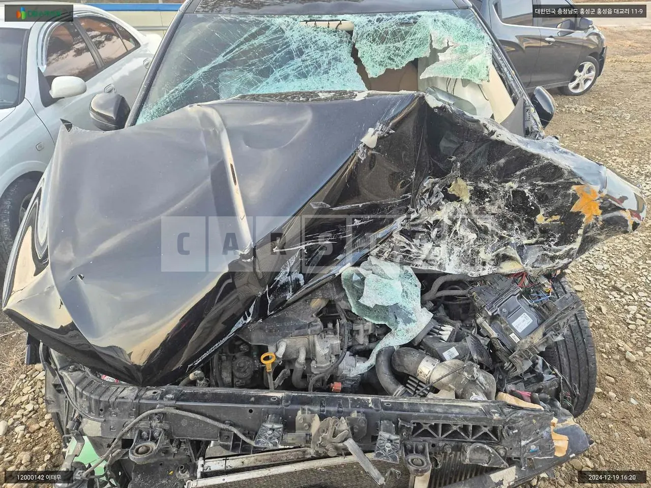 Photo 2 of 26: 2020 Kia Carnival, VIN KNANC81BBMS007901 — Korean insurance auction