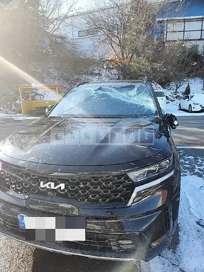 Photo 1 of 25: 2023 Kia Sorento 4WD, VIN KNARJ81FHPA200340 — Korean insurance auction