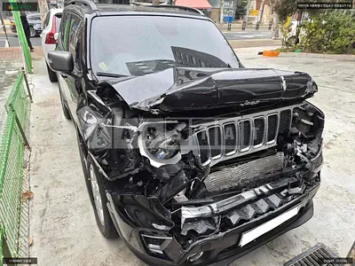 2019 Jeep Zip Renegade 2.4