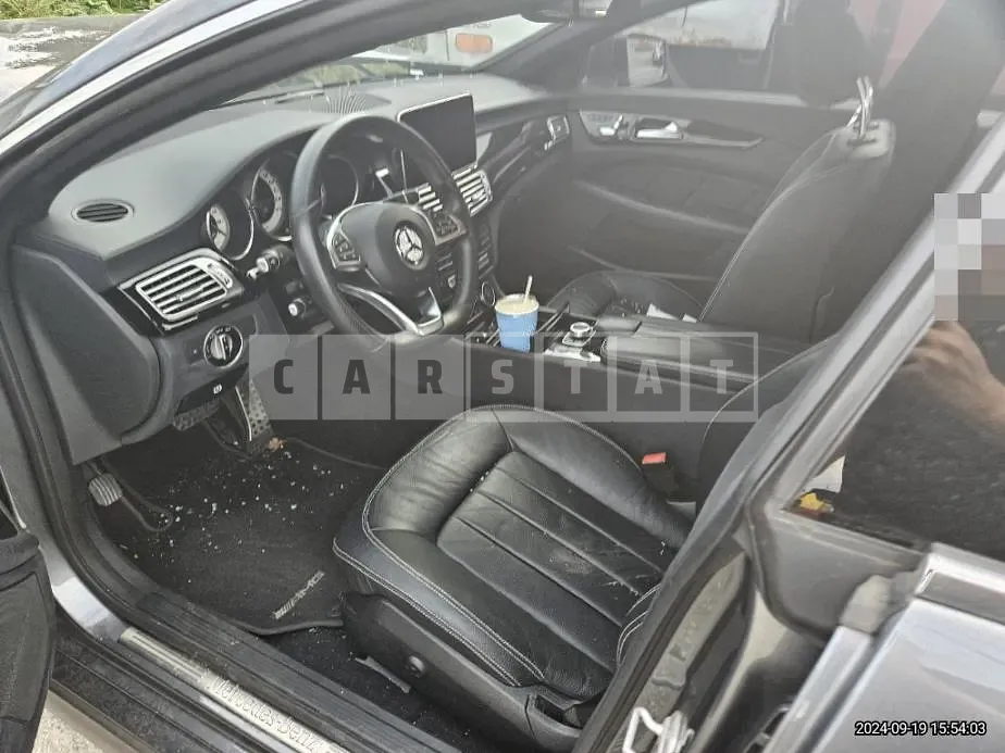 Photo 2 of 10: 2017 Mercedes-Benz CLS250 d 4Matic — Korean insurance auction