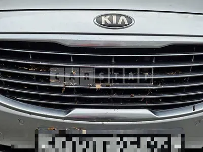 Photo 1 of 5: 2015 Kia Carnival 9 Seater — Korean insurance auction