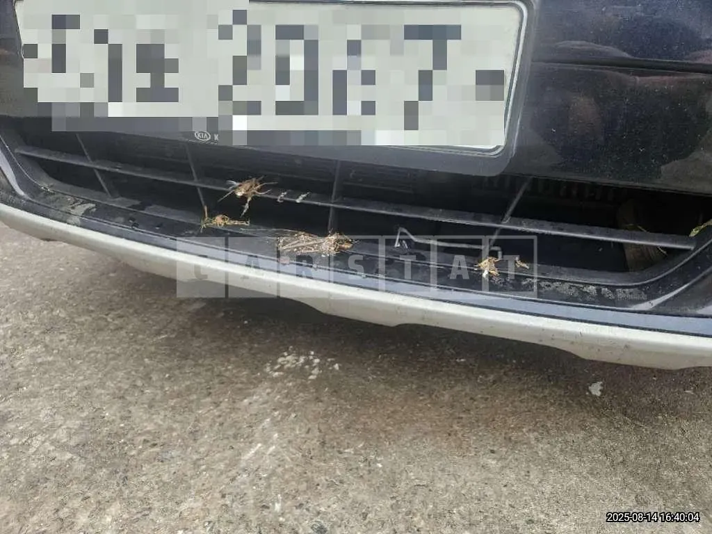 Photo 2 of 28: 2019 Kia Sorento — Korean insurance auction