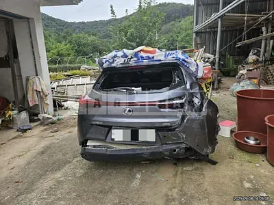 Photo 1 of 26: 2019 Lexus UX250h AWD — Korean insurance auction