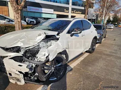 2025 Lexus NX350h