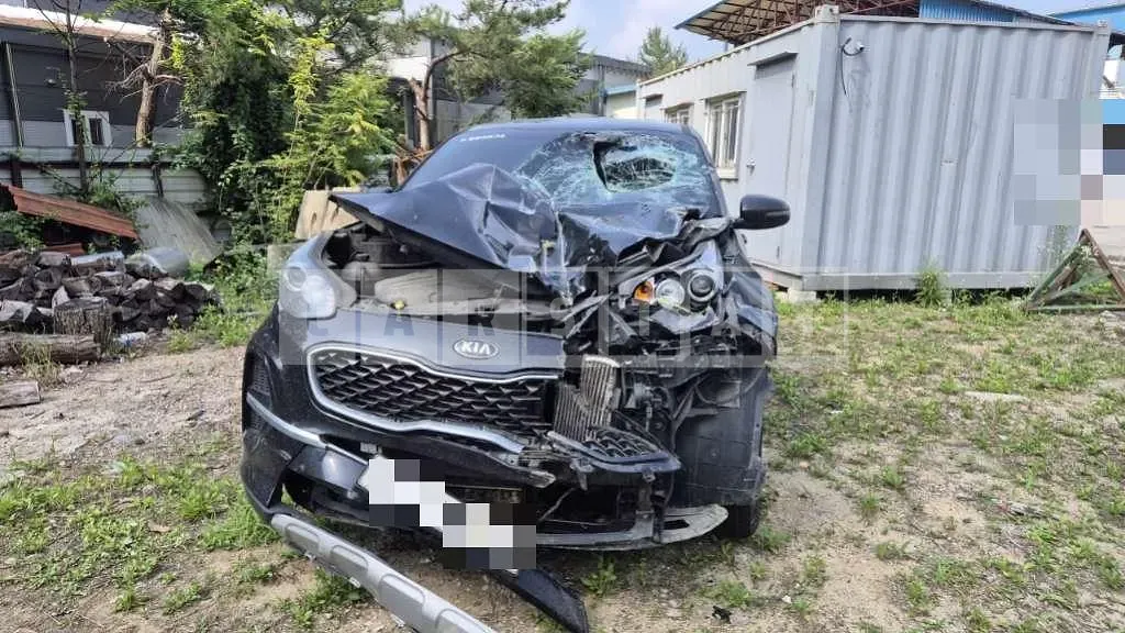 Photo 2 of 5: 2019 Kia Sportage 2.0 4WD — Korean insurance auction