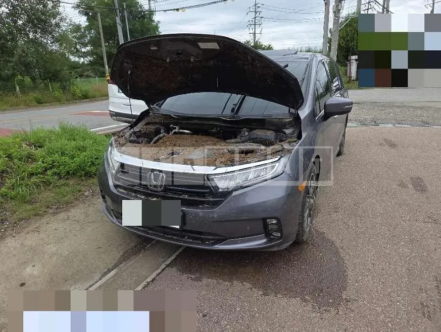 Photo 2 of 12: 2021 Honda Odyssey — Korean insurance auction