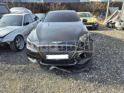 Photo 1 of 15: 2019 Hyundai Genesis G80, VIN KMHGR41BDKU318341 — Korean insurance auction