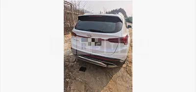 Photo 1 of 29: 2020 Hyundai Santa Fe TM Diesel — Korean insurance auction