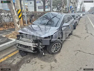 2019 IONIQ IONIQ Electric