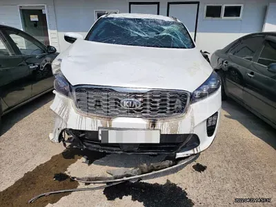 Photo 1 of 19: 2019 Kia Sorento 2.2, VIN KNAPH81BBLA564657 — Korean insurance auction