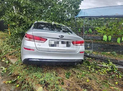 Photo 1 of 10: 2019 Kia K5, VIN KNAGT416BLA374613 — Korean insurance auction