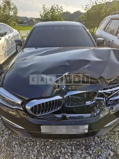 Photo 1 of 14: 2019 BMW 530i xDrive Luxury — Korean insurance auction