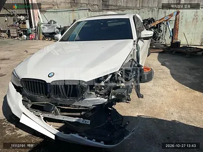 2019 BMW BMW 520d Luxury