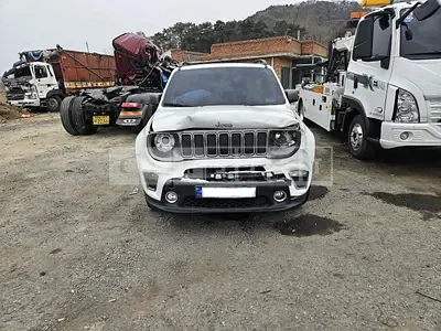 2019 Jeep Zip Renegade 2.4