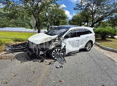 Photo 1 of 8: 2018 Kia Sorento — Korean insurance auction