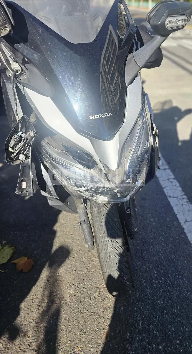 Photo 2 of 4: 2019 Honda (Two-Wheel) Forza 300 — Korean insurance auction