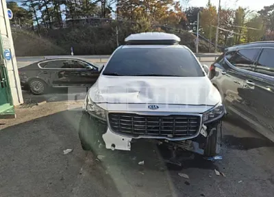 Photo 1 of 12: 2019 Kia Carnival — Korean insurance auction